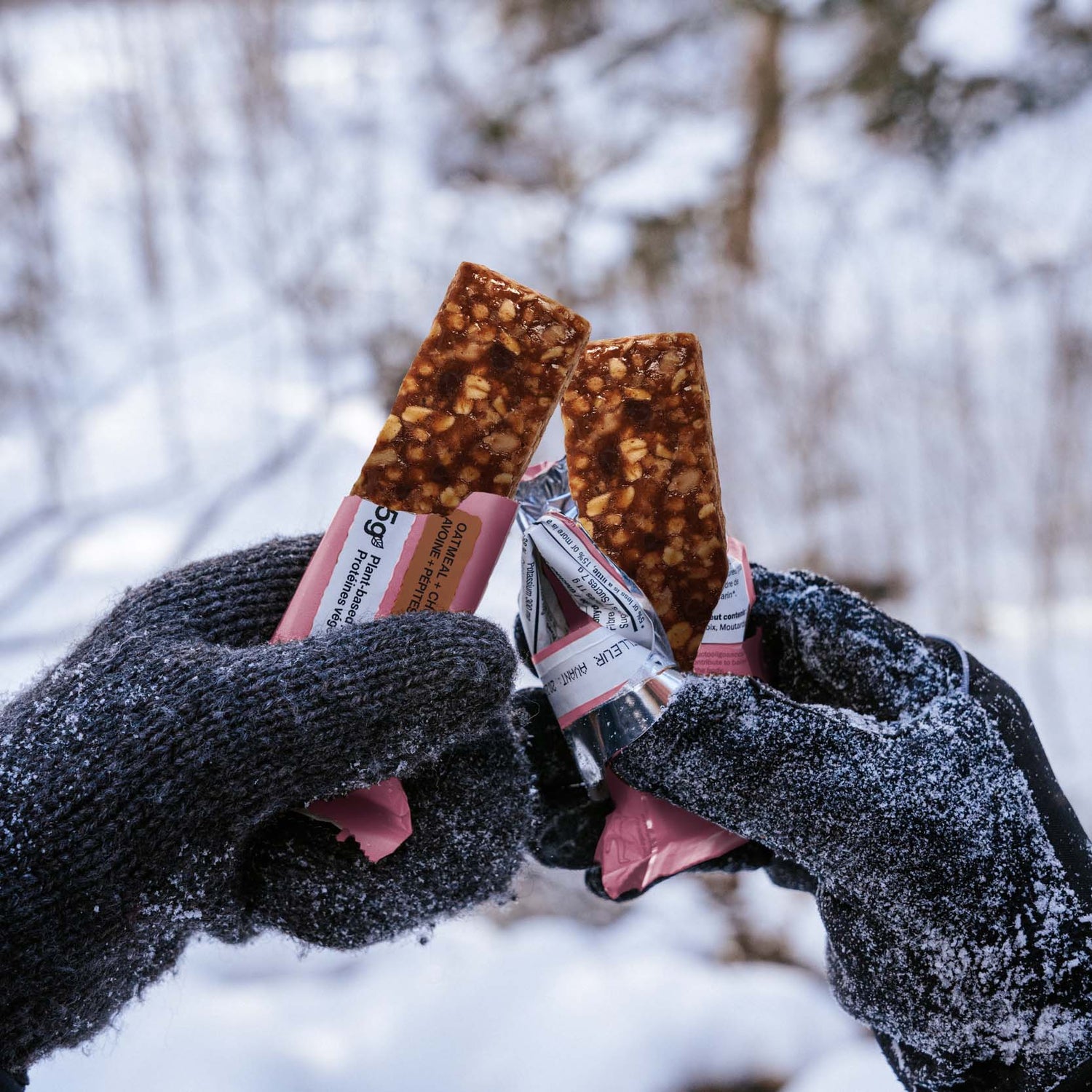 Oatmeal + Chocolate Chip (12 Bars)